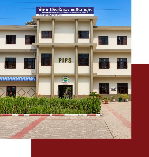 panjab intenational public school